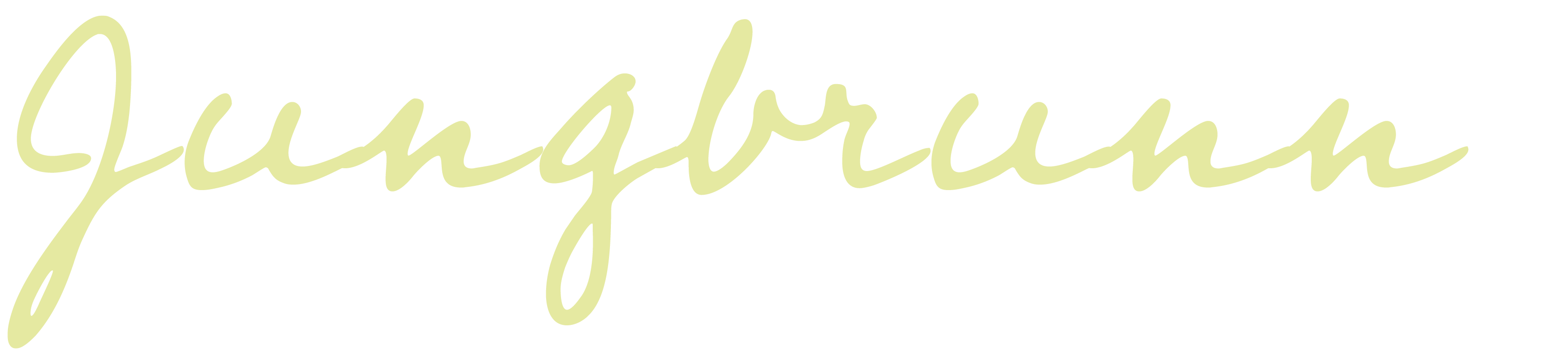 Jungbrunn // Berlin Pankow // Mietwohnungen